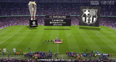 这些数据太夸张，教练看了都无语